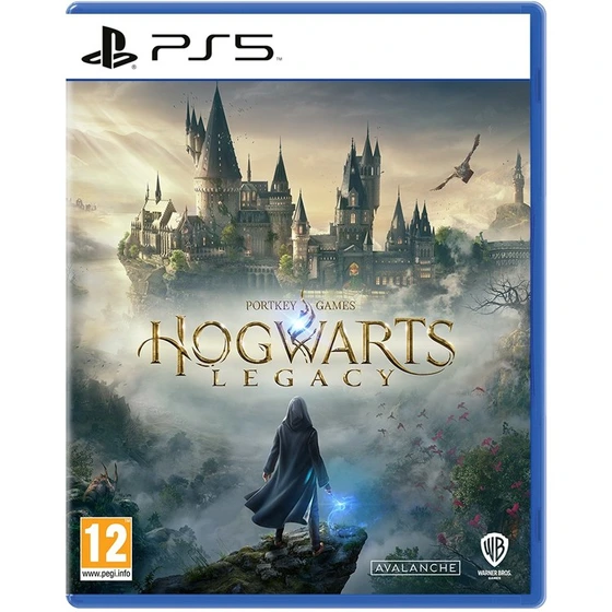 بازی Hogwarts Legacy PS5 کارکرده